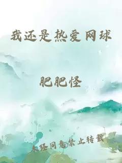 我還是熱愛網(wǎng)球