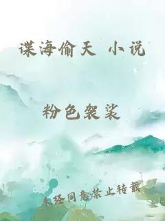 諜海偷天 小說(shuō)